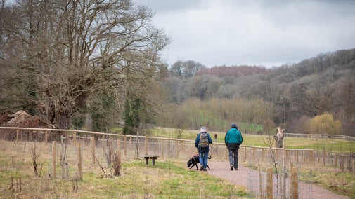 People walking their dog at the Brockhampton estate with winter trees in the background.